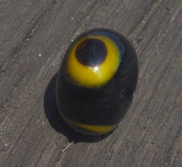schwarze Perle, gelb-schwarze Schichtaugen