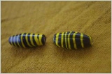 zwei langzylindrische schwarze Perlen mit gelbem umlaufenden Fasden, eine davon melonig gekerbt