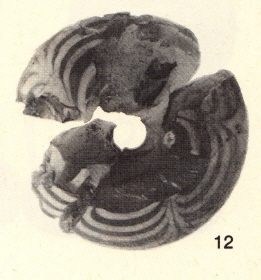 Schwertperle, Thorsberg, Kat. 856
